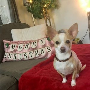 Meet your Posher, Keirra